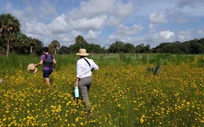 We Can Slow Development by Saving Native Lands