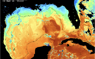 How a warming Gulf of Mexico is changing one of the world’s most remarkable ocean currents—and why it matters to Florida