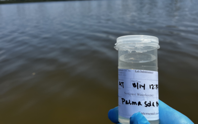 Bacteria Concentrations in Palma Sola Bay May Finally Cause Government Action